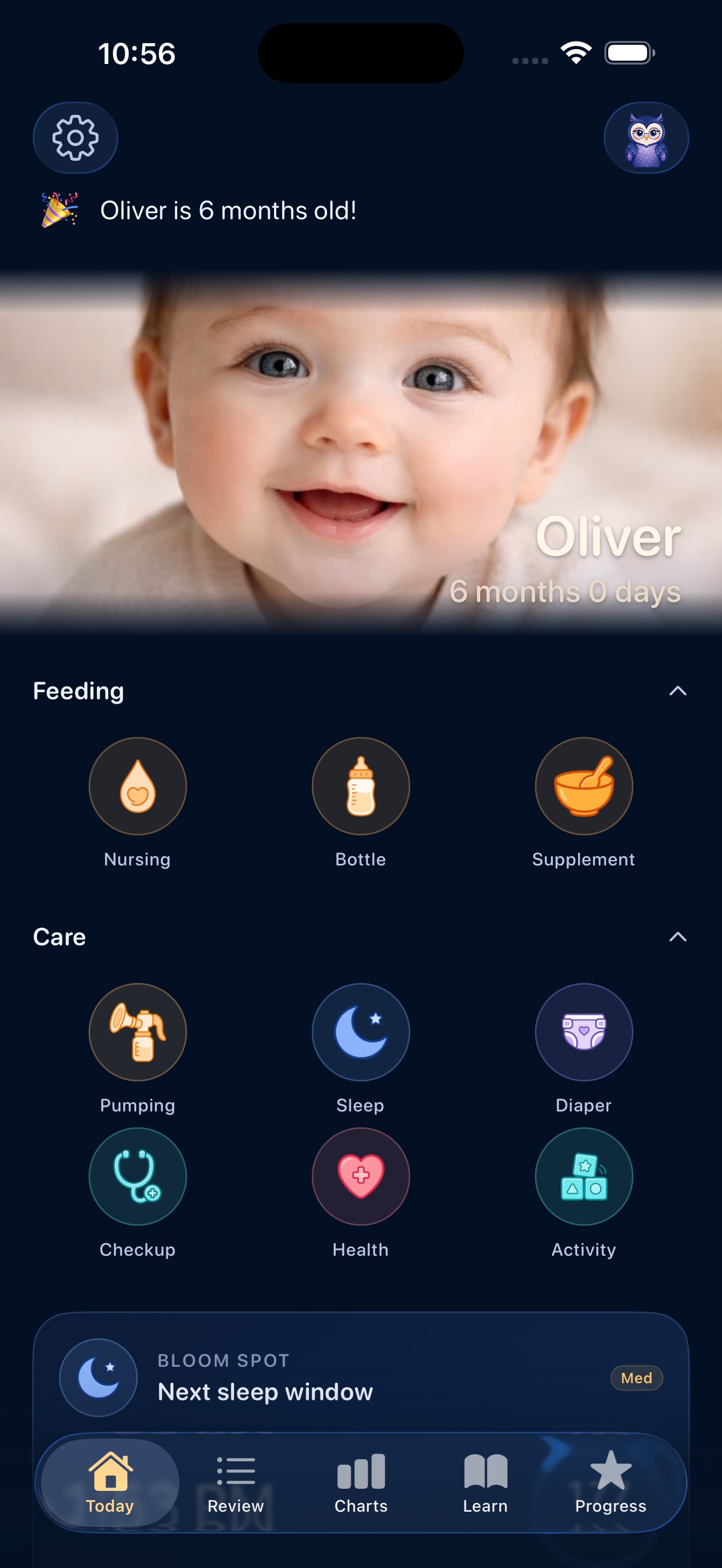 Bloomlet — Soft theme, dark mode