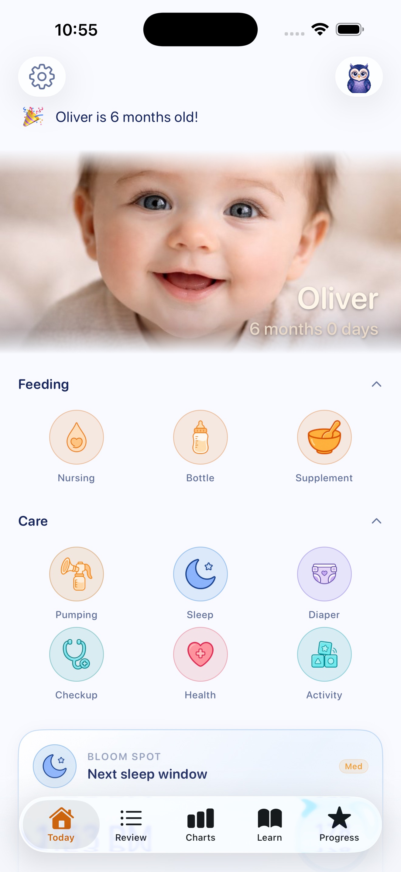 Bloomlet — Soft theme, light mode